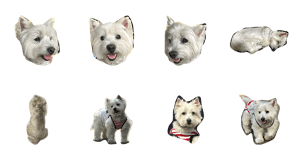 westie angie westie angie