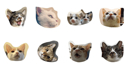 zero and sashimi zero and sashimi