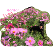 TOYMAN NO HIBI TOYMAN NO HIBI