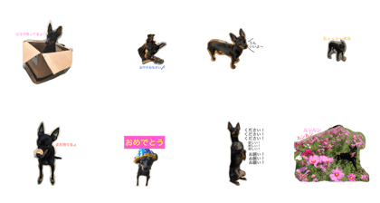 TOYMAN NO HIBI TOYMAN NO HIBI