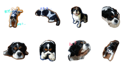 Daily Cavalier no.1 Daily Cavalier no.1