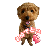 maruputaruto2 maruputaruto2