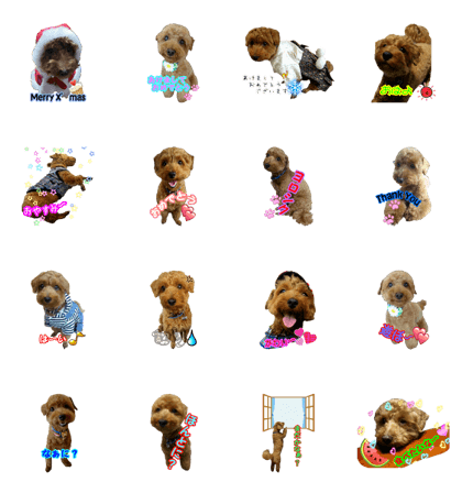 maruputaruto2 maruputaruto2