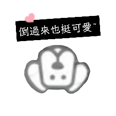 耳朵垂下來的狗狗