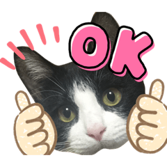 asuka_20210729231606