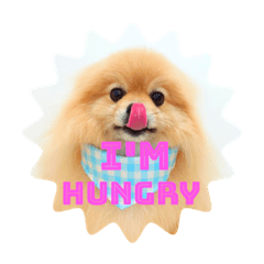 suzu_20210730000341