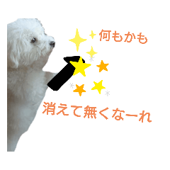 pengen_20210729225027