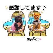 Andzu and Komomo 2 Andzu and Komomo 2