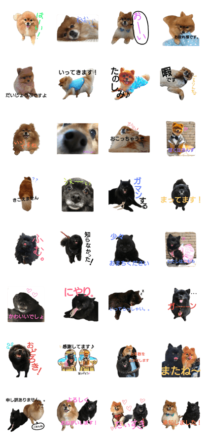 Andzu and Komomo 2 Andzu and Komomo 2