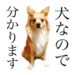 きろさんの表情筋スタンプ2 Line スタンプ Line Store きろさんの表情筋スタンプ2 Line スタンプ Line Store