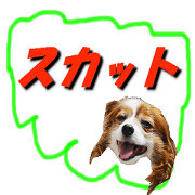 heart of sticker heart of sticker