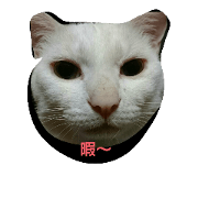 mashumaro-teto-bonchan biyori mashumaro-teto-bonchan biyori