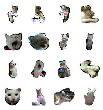 mashumaro-teto-bonchan biyori mashumaro-teto-bonchan biyori