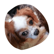 wannyan paradise wannyan paradise