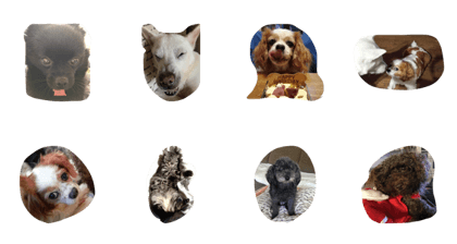 wannyan paradise wannyan paradise