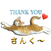 feeling of a brown tiger  vol.2