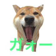 I'm mimita. I'm mimita.