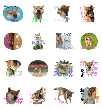 I'm mimita. I'm mimita.