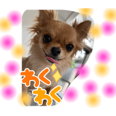 CHI_20210701172443