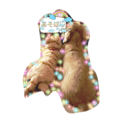 Healing dog purin Healing dog purin