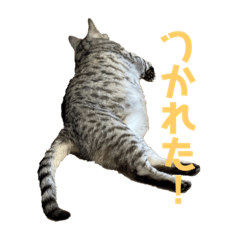YUKA_20210703185352