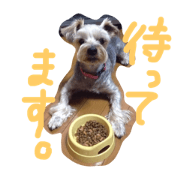 A feeling of poko-chan A feeling of poko-chan