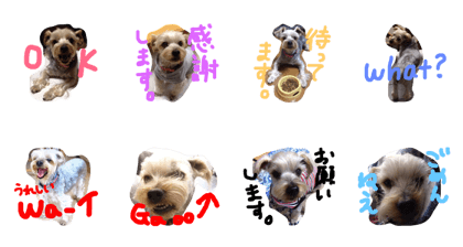 A feeling of poko-chan A feeling of poko-chan