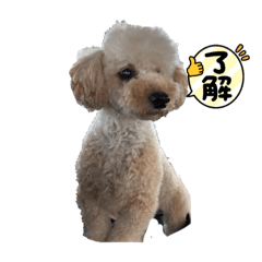 hana_20210708212056