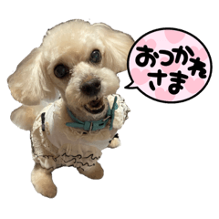 love honey stamp