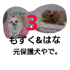 The original protection dog,Mozuku&Hana3