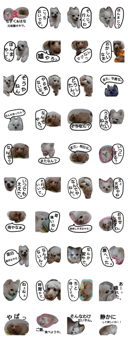 The original protection dog,Mozuku&Hana3