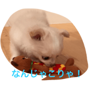 pomechiwacotaro pomechiwacotaro