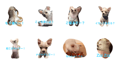 pomechiwacotaro pomechiwacotaro