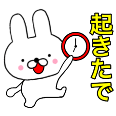 Kansai Rabbit 6