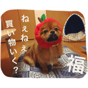 FUKUdog2