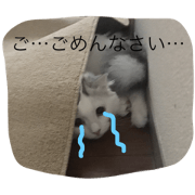 sirasutanp 2 sirasutanp 2