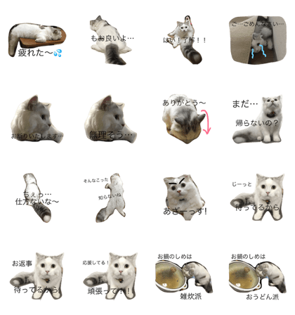 sirasutanp 2 sirasutanp 2