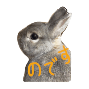 miuchan-made in Mr.Max miuchan-made in Mr.Max