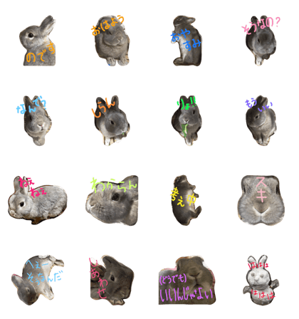 miuchan-made in Mr.Max miuchan-made in Mr.Max