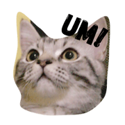 omelette v.1 omelette v.1