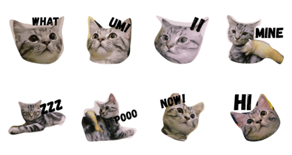 omelette v.1 omelette v.1