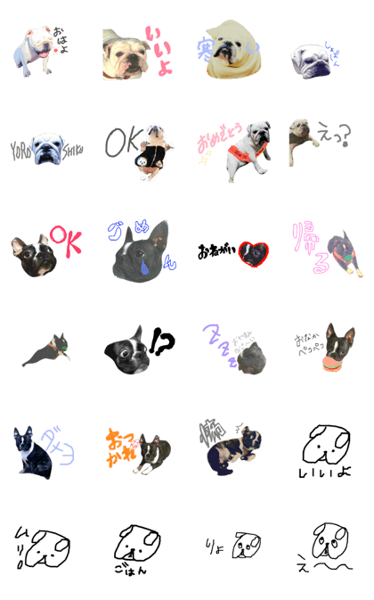 bulldog.and.bosutonteria bulldog.and.bosutonteria