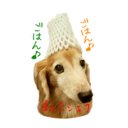 friend of the dachs 2