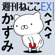 Move "Kazumi" name sticker feature