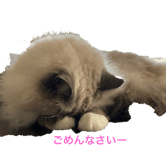 kaito_20210706193514