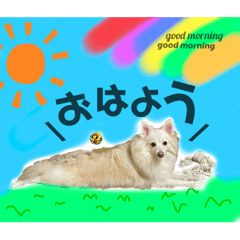 yuka_20210725113250
