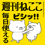 Weekly cat / feature every day