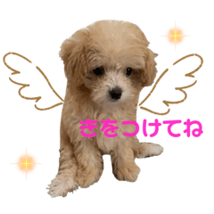 ayano_20210725120018