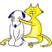 INU the Dog Animated 2