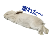 miniusaGuutan miniusaGuutan